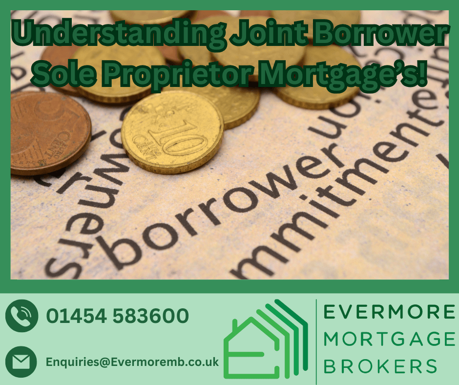 Joint Borrower Sole Proprietor